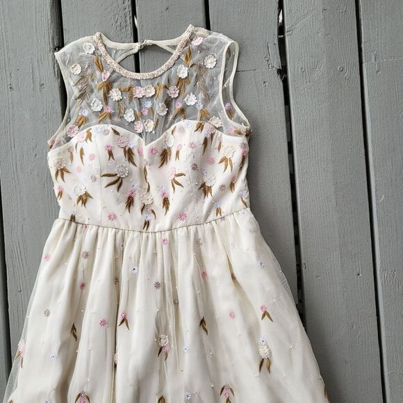 ModCloth The Simple‎ Truth Cream Pink Embroidered Tulle Maxi Dress Size L - Picture 4 of 10